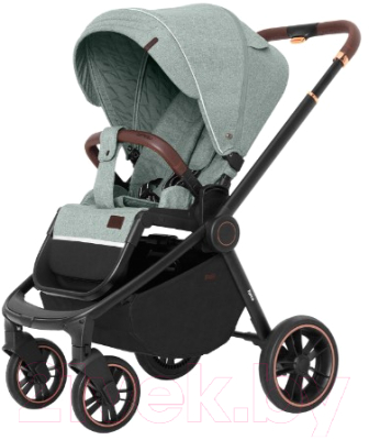 

Детская прогулочная коляска Carrello, Epica CRL-8509