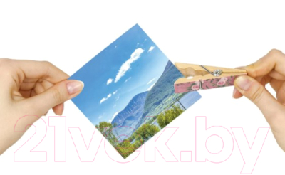 Изображение товара Набор прищепок декоративных Остров Сокровищ Фламинго / 662678 (4шт, ассорти)