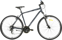 Велосипед AIST Cross 2.0 28 2021 (19, серый) - 