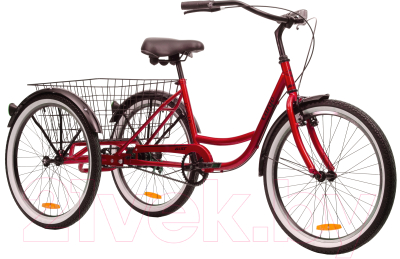 Велосипед AIST Cargo 1.1 2021 (24, красный)