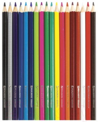 Набор цветных карандашей Brauberg My Lovely Dogs / 180546 (18цв)