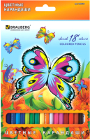 Набор цветных карандашей Brauberg Wonderful Butterfly / 180550 (18цв) - 