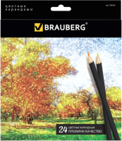 Набор цветных карандашей Brauberg Artist Line / 180565 (24цв) - 