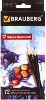 Набор цветных карандашей Brauberg Artist Line / 180596 (12цв) - 