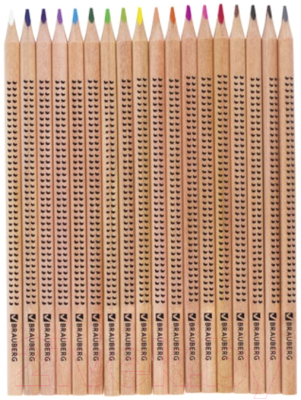 Набор цветных карандашей Brauberg Цветы / 181289 (18цв)