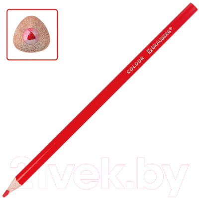 Набор цветных карандашей Brauberg Premium / 181654 (36цв)