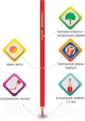 Набор цветных карандашей Brauberg Premium / 181654 (36цв)