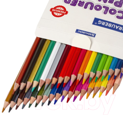 Набор цветных карандашей Brauberg Premium / 181659 (36цв)