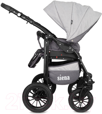 Детская универсальная коляска Rant Siena 2 в 1 (04, графит/серый)