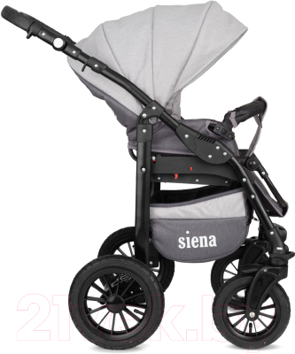 Детская универсальная коляска Rant Siena 2 в 1 (04, графит/серый)