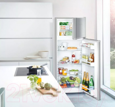 Холодильник с морозильником Liebherr CTel 2531-21
