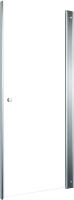 Душевая дверь Triton Уно 100x185 (прозрачное стекло) - 