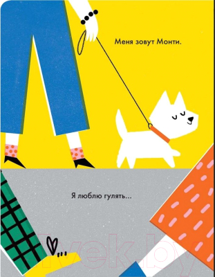 Книга МИФ Монти (Трухан Е.)