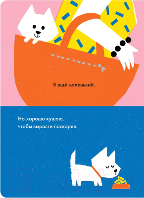 Книга МИФ Монти (Трухан Е.)