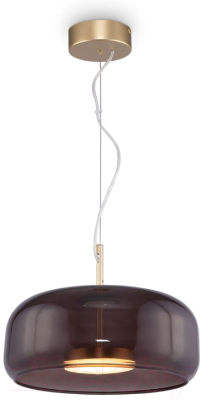 Потолочный светильник Maytoni Madmen MOD127PL-L6BR