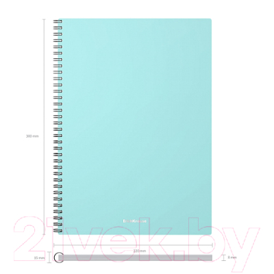 Изображение товара Тетрадь Erich Krause Pastel Mint / 53701 (80л, клетка)