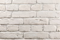 Декоративный камень бетонный Petra Скандинавский кирпич 10П0.Т (белый) - 