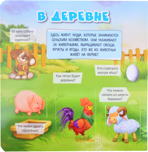 Развивающая книга АСТ Моя первая книга с окошками — фото 3