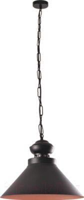 Потолочный светильник Vesta Light Loft 17331 (черный)
