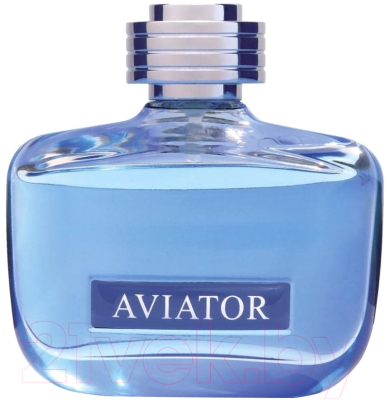 

Туалетная вода Paris Bleu Parfums, Aviator Authentic