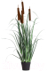 Миниатюра изображения товара Искусственное растение Merry Bear Home Decor Микс трава-рогоз / KD4054-115-22