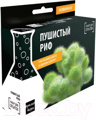 

Набор для опытов Простая наука, Пушистый риф Bbox-0817