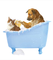 Шторка-занавеска для ванны JoyArty Кот и пес в ванной / sc_15568 - 