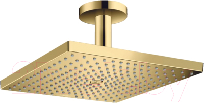 

Верхний душ Hansgrohe, Raindance 26250990