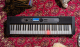 Миниатюра изображения товара Синтезатор Casio LK-S450