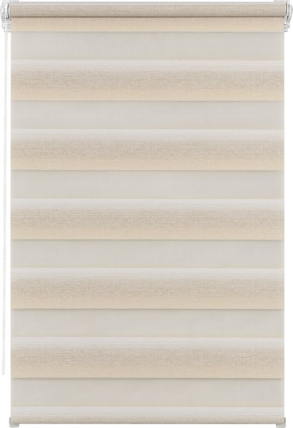 Рулонная штора Lm Decor Дабл ДН LB 55-01 120x170 (белый/бежевый)