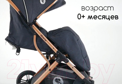 Детская прогулочная коляска Lorelli Storm Loden Green / 10021692383