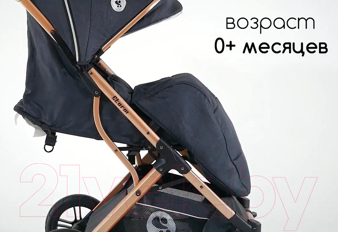 Детская прогулочная коляска Lorelli Storm Luxe Black / 10021692186