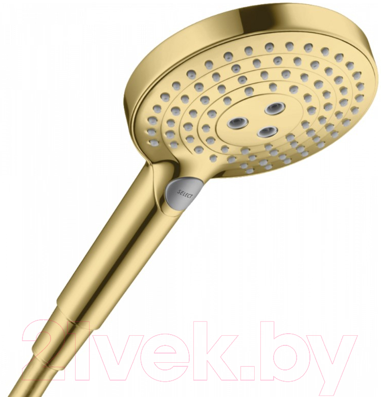 Лейка ручного душа Hansgrohe Raindance Select S 120 26530990