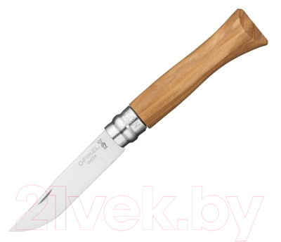 Нож туристический Opinel №6 / 002023 (нержавеющая сталь, оливковый)