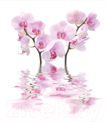 Шторка-занавеска для ванны JoyArty Плавучие цветы / sc_17601