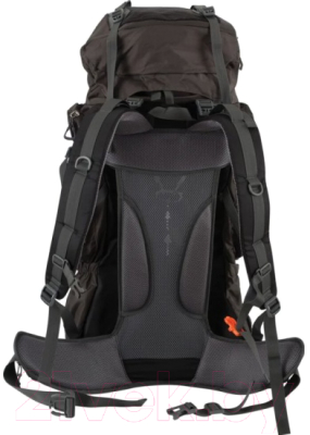 Рюкзак туристический ECOS Coyote / 006625 (черный)