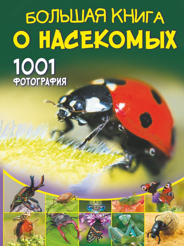 Энциклопедия АСТ Большая книга о насекомых. 1001 фотография