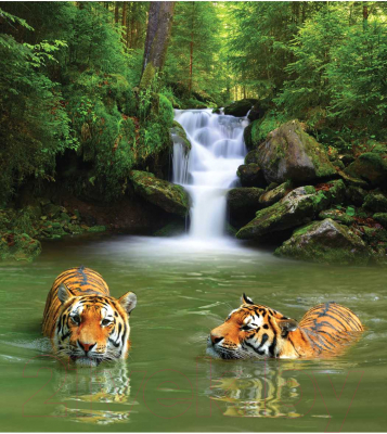 Шторка-занавеска для ванны JoyArty Тигры прохлаждаются / sc_12732