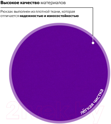 Рюкзак Brauberg 225376 (фиолетовый)