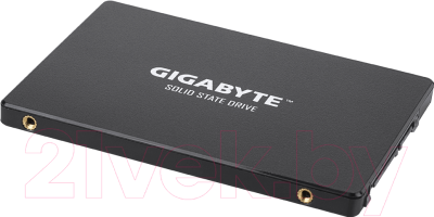 SSD диск Gigabyte 120GB (GP-GSTFS31120GNTD)
