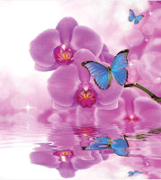 Шторка-занавеска для ванны JoyArty Бабочка на орхидее / sc_11023 - 