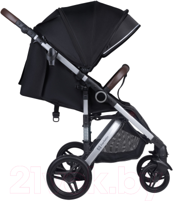 Детская прогулочная коляска Farfello Bino Angel Comfort 2 в 1 / BAC (черный)