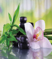 Шторка-занавеска для ванны JoyArty Цветок орхидеи / sc_2605 - 