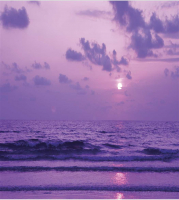 

Шторка-занавеска для ванны JoyArty, Морской вечер / sc_10268