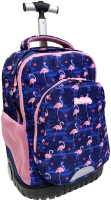 

Школьный рюкзак Paso, PPNG20-1231/A