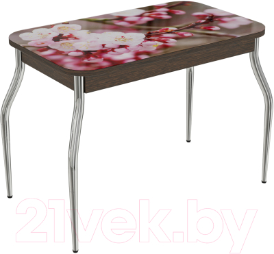 

Обеденный стол ВВР, МДФ