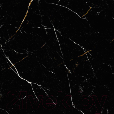 Плитка Netto Gres W Maxx Black Marble High Glossy (600x600)