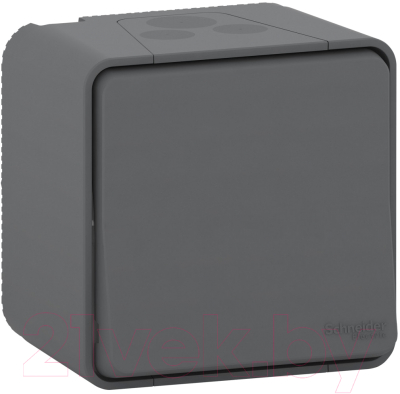 

Выключатель Schneider Electric, Mureva Styl MUR35033