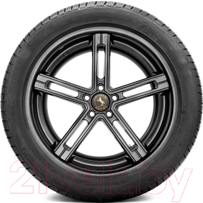 Зимняя шина Continental ContiWinterContact TS 830 P 255/55R18 105V Porsche