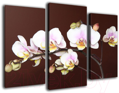 

Картина модульная Arthata, m-000446